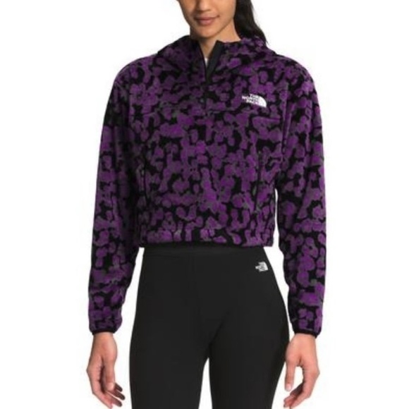 The North Face Sweaters - The NORTH FACE OSITO QUARTER ZIP HOODIE